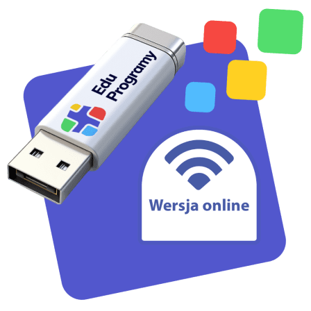 Pendrive_online